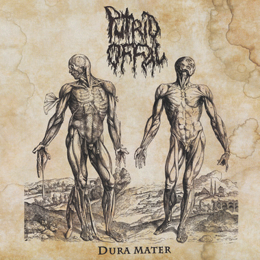 Putrid Offal : Dura Mater